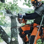 Husqvarna unveils new 40cc petrol chainsaws for advanced tree care