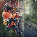Husqvarna launches the world's first battery-powered chainsaws with heated handles
