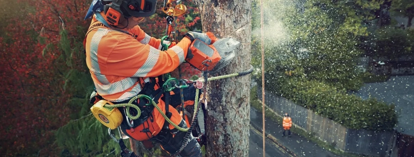Husqvarna launches the world's first battery-powered chainsaws with heated handles