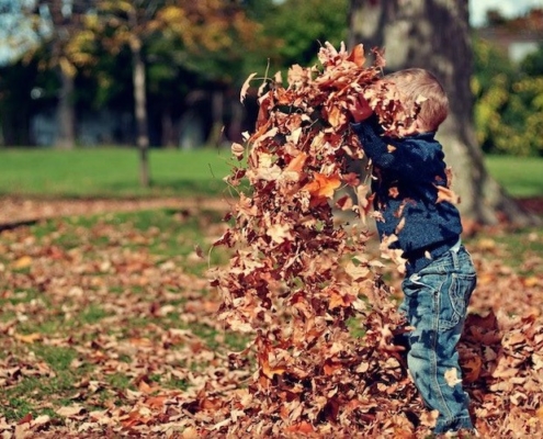 The top ten parks to visit across the UK this autumn