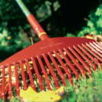 Forget the spring clean, autumn’s the time to tidy up the garden!