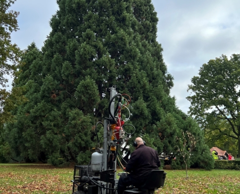 Terrain Aeration for England’s largest Sequoias