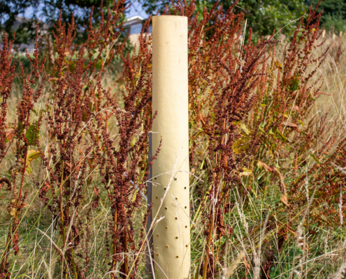 Agrovista Amenity launches biodegradable tree guards