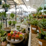 How to Keep Your Garden Centre Thriving