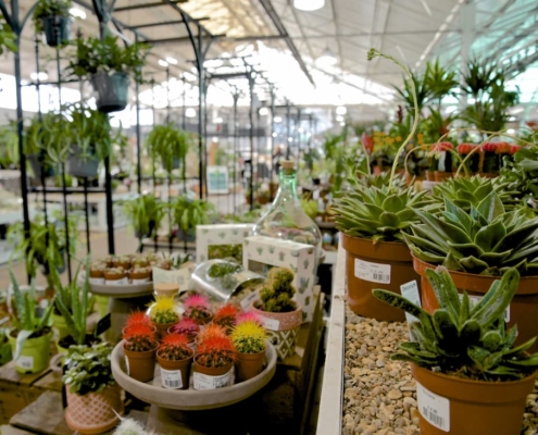 How to Keep Your Garden Centre Thriving