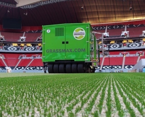 19 World Cup games and 38 training sessions in Qatar are being played on GrassMax hybrid grass NextGen technology.