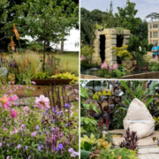 Applications open for BBC Gardeners’ World Events Beautiful Borders