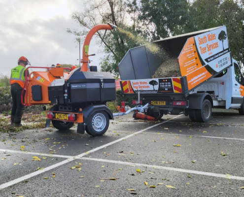 New GreenMech QuadChip turns more than just heads in corporate colours of South Wales Tree Services