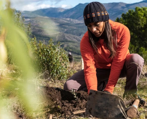 Gardening may help reduce cancer risk, boost mental health