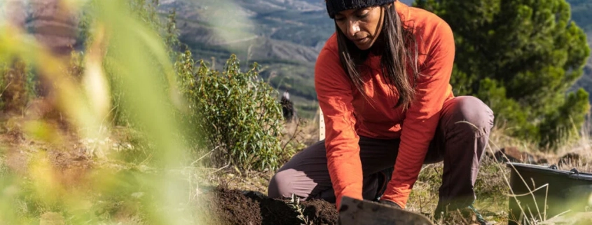 Gardening may help reduce cancer risk, boost mental health