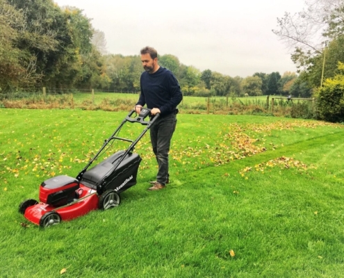 How sustainable is your lawn?