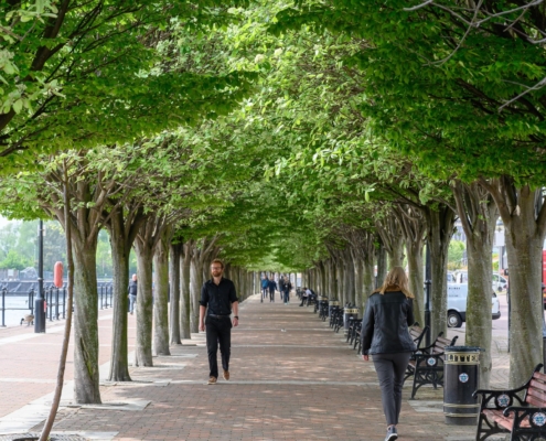 The study was modelled on 93 European cities. Photograph: Nick Harrison/Alamy