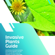 ICL publishes free comprehensive Invasive Plants Guide