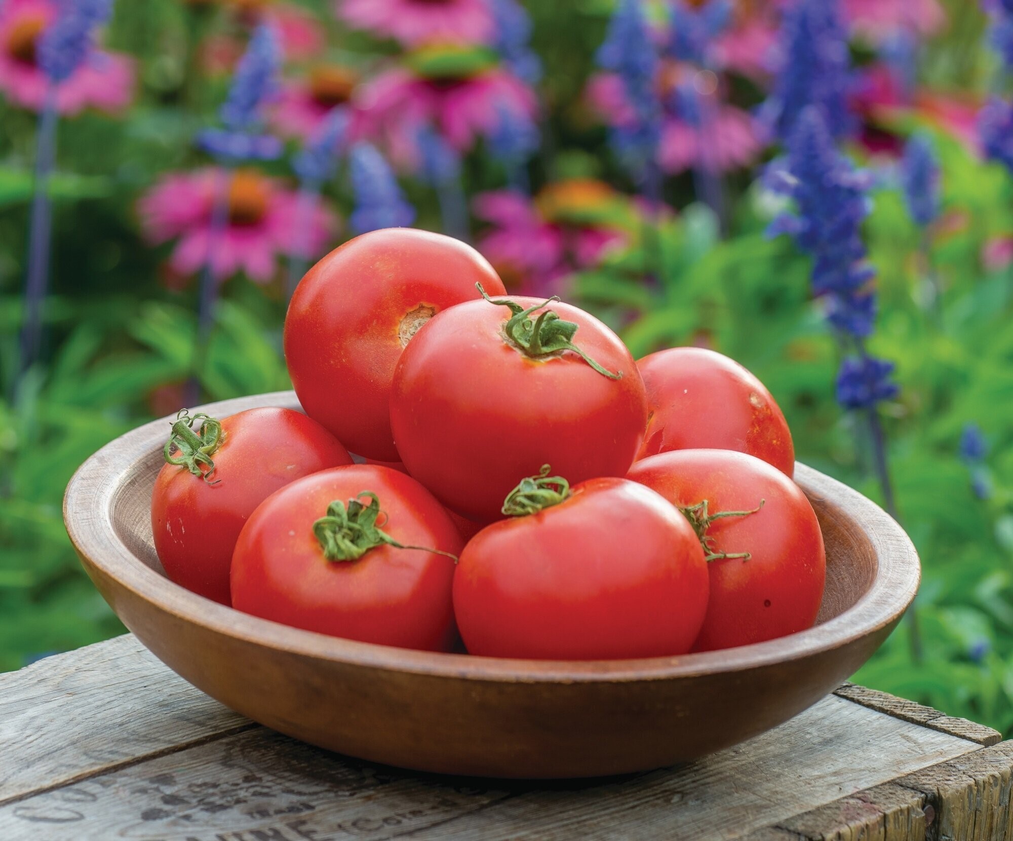 Recipes for a Glut of Tomatoes - Landscaping Matters