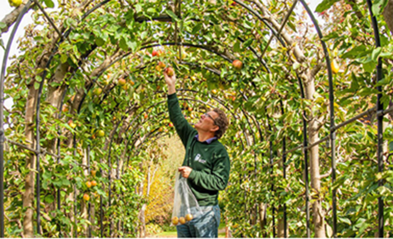 The core tips & products for a tasty ‘National Apple Day’!