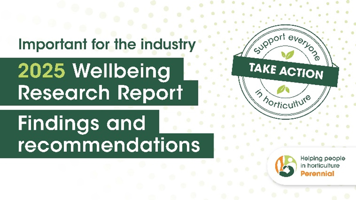 Wellbeing Research emphasises urgent need for action