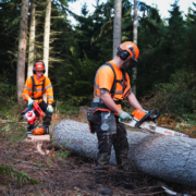 WOOD TEAM COWDRAY-1