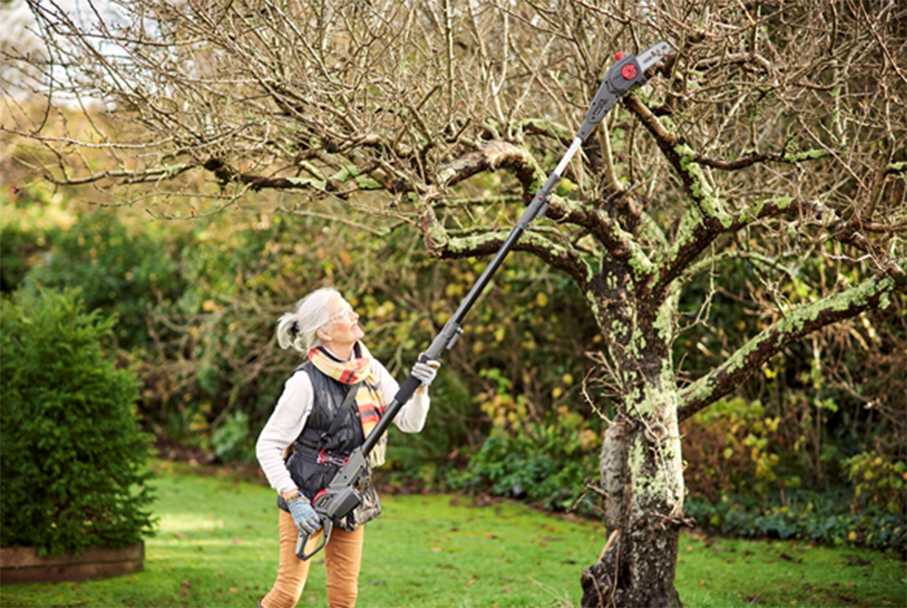 Mountfield and the Big Garden Tidy Up