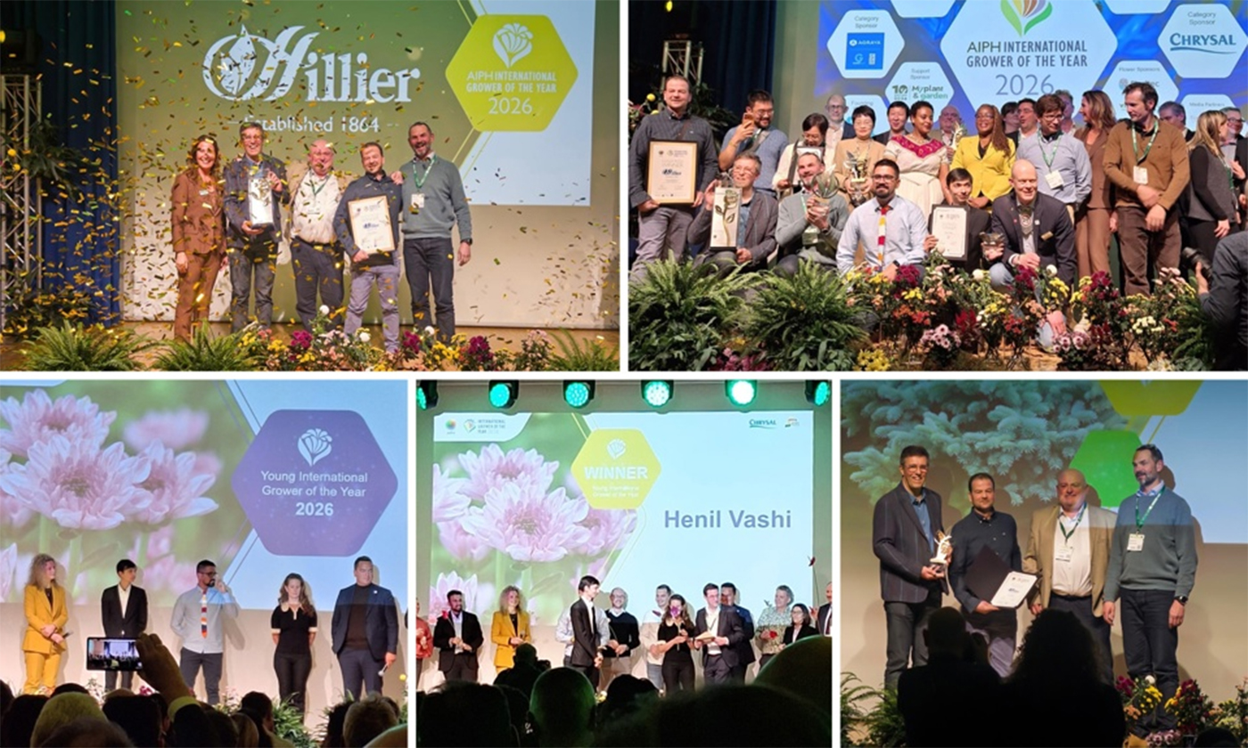 HTA members scoop top prizes