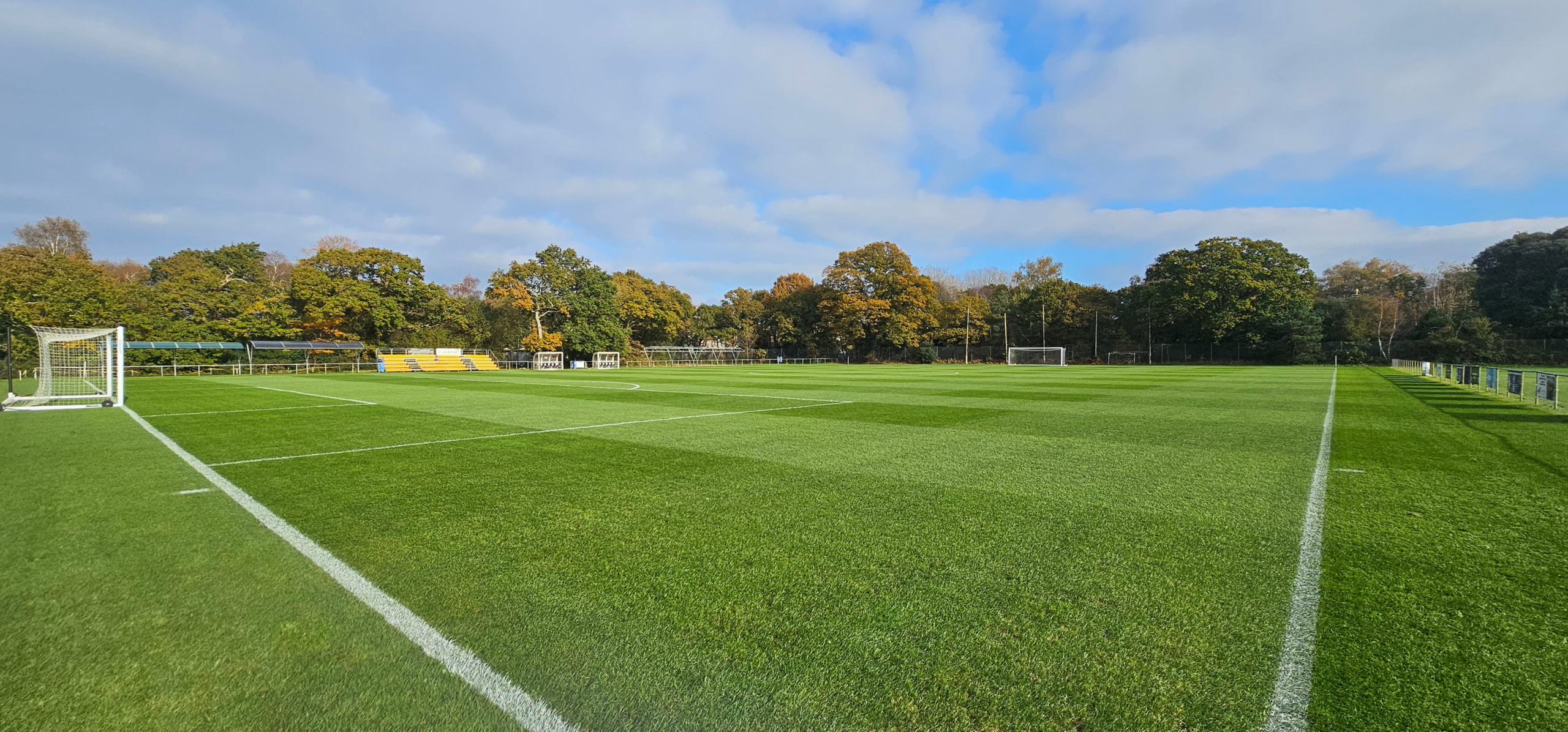 MM Seed Delivers Proven Performance