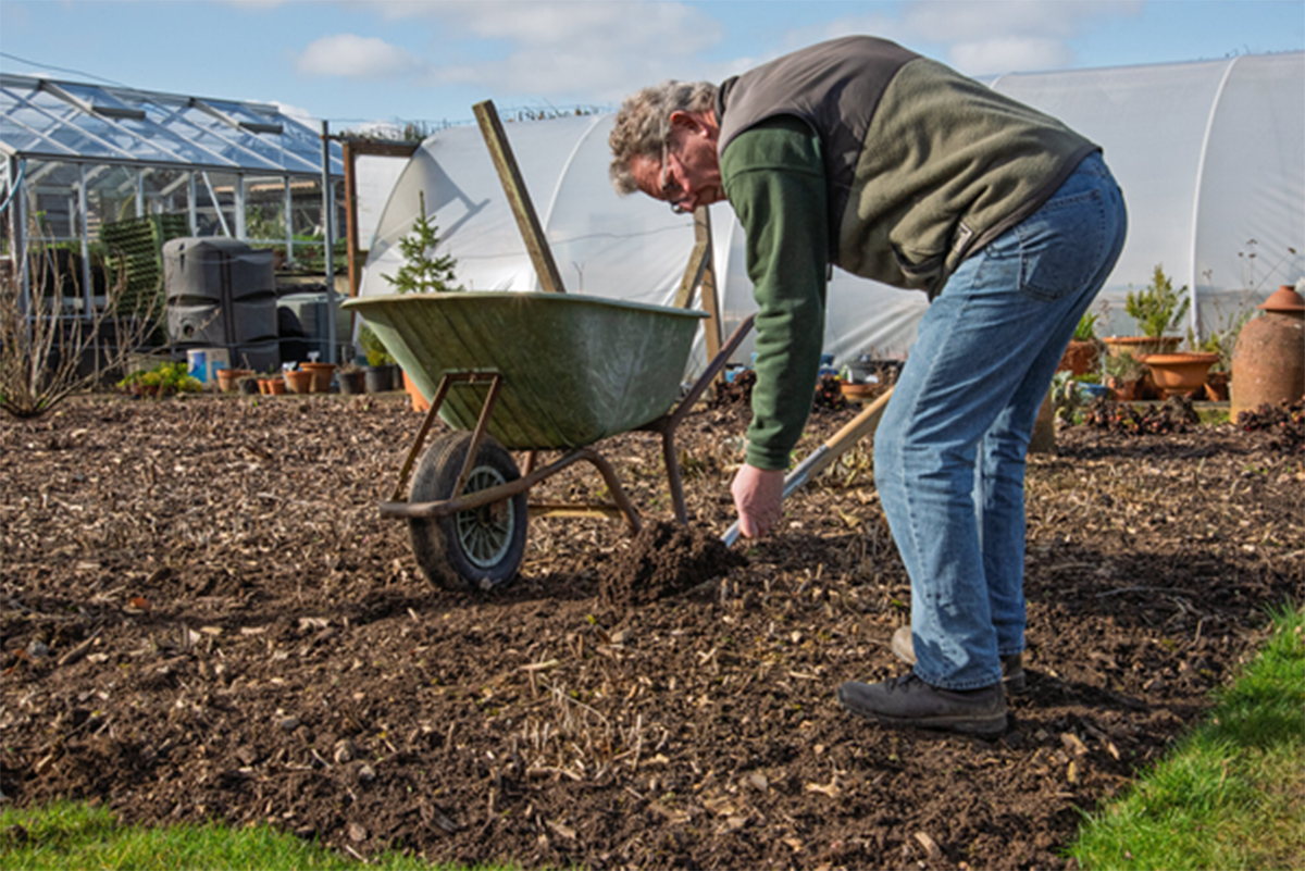 Top Gardening Tips from the Barnsdale Team