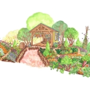 Curious Garden for 2026 RHS Chelsea Flower Show Unveiled