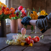 Transform Your Garden This National Gardening Week