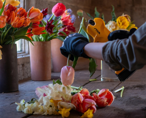 Transform Your Garden This National Gardening Week