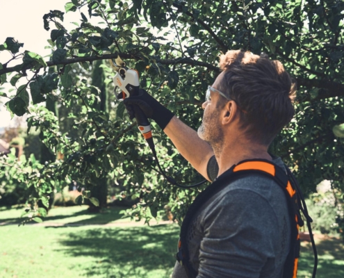 STIHL’s new battery powered pruning shears