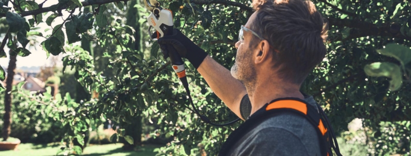 STIHL’s new battery powered pruning shears