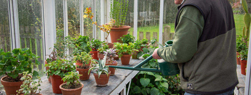 April gardening tips from Barnsdale Gardens