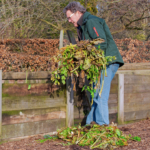 Tips from Barnsdale for International Composting Week