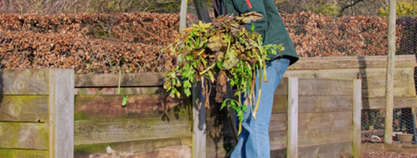 Tips from Barnsdale for International Composting Week