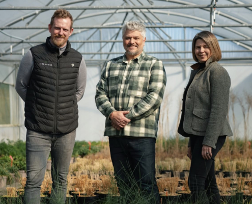 Behind the scenes of Chelsea 2026 at Creepers Nursery