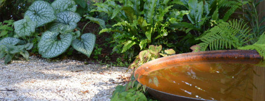 Tips from designers of SGLD'S installation at RHS Chelsea