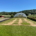 Independent FAIR WATER II Trial Highlights Fairway Drought Performance