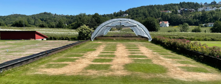 Independent FAIR WATER II Trial Highlights Fairway Drought Performance