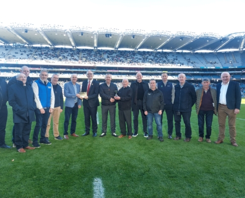 Hastings MacHale Park presented with GAA award