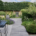 Landscapers play “huge role” in protecting the health of plants