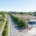 Why are we still losing trees on our highways and not counting the cost?