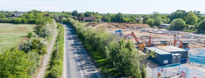 Why are we still losing trees on our highways and not counting the cost?