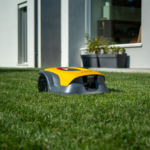 Quiet Mark mowing for Garden Wildlife Week