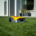 Quiet Mark mowing for Garden Wildlife Week