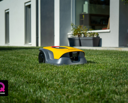 Quiet Mark mowing for Garden Wildlife Week