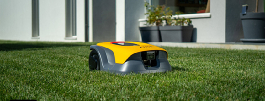 Quiet Mark mowing for Garden Wildlife Week