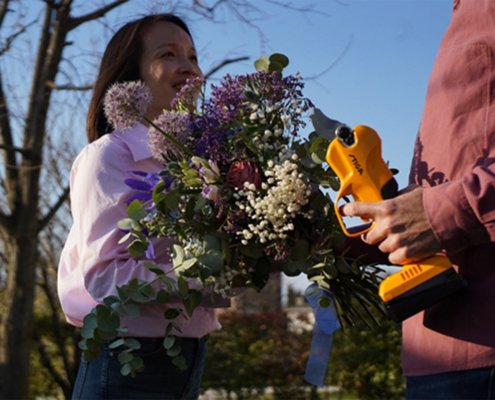 Grow A Positive Outlook With STIGA