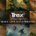 Trex UK makes record marketing investment