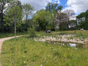 Wildflower Co. brings biodiversity to new Memorial Garden