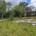 Wildflower Co. brings biodiversity to new Memorial Garden