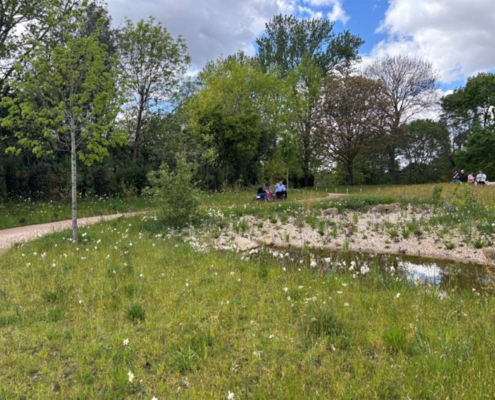 Wildflower Co. brings biodiversity to new Memorial Garden